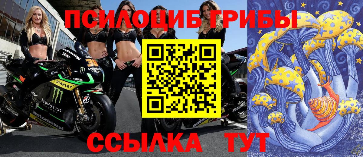 Псилоцибиновые грибы мицелий Магадан